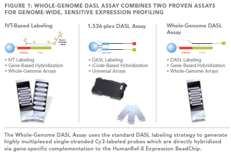 DASL assay