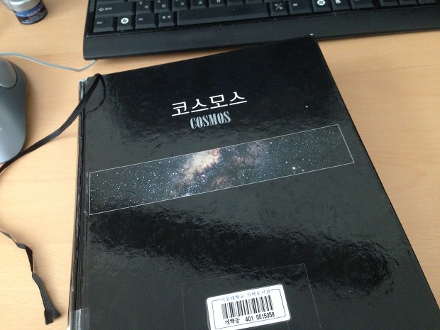 코스모스