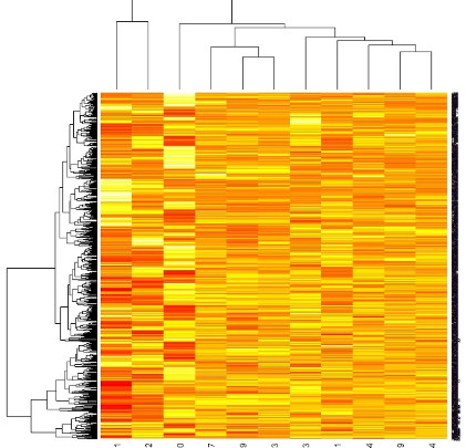 Heatmap 만들기