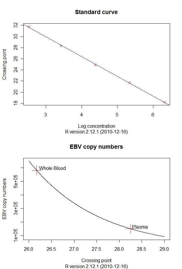 EBV 정량 검사