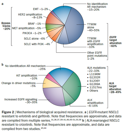 Acquired resistance to TKIs in solid tumours: learning from lung cancer